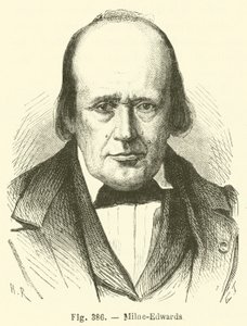Milne-Edwards de French School